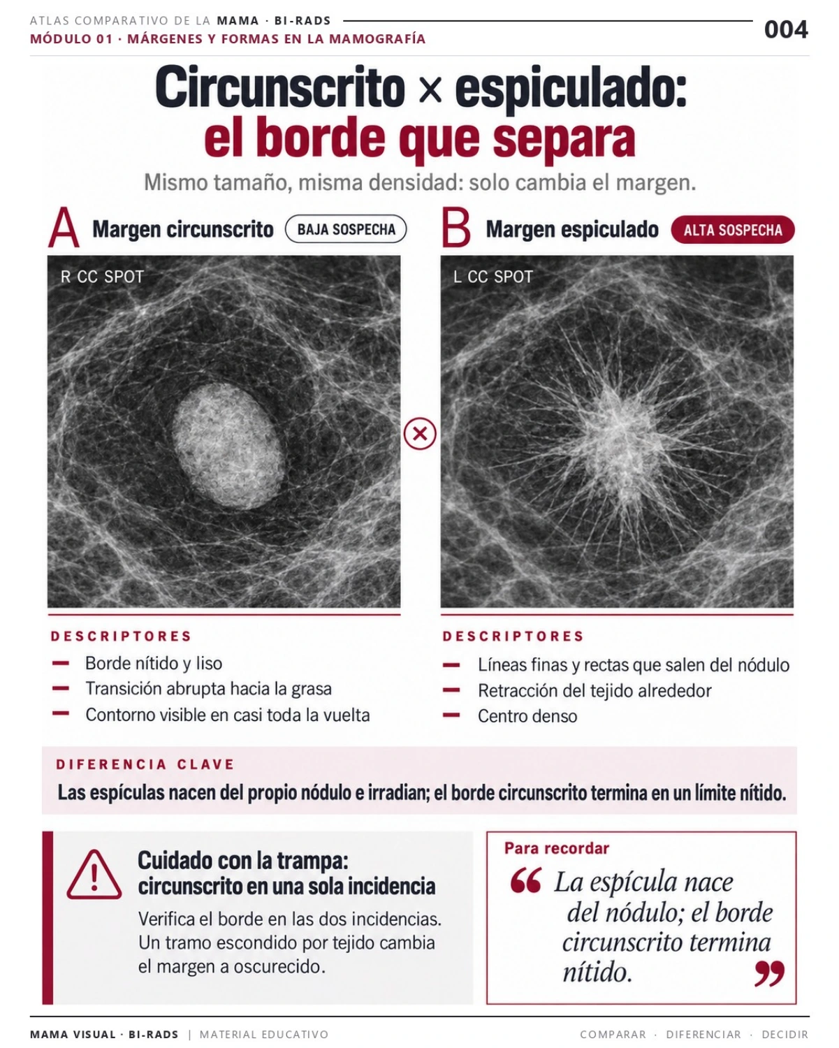 Página 4 del Atlas: margen circunscrito y espiculado, en comparación didáctica