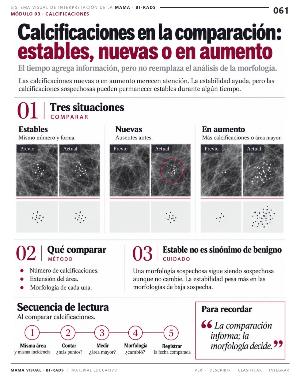 Página 61: Calcificaciones en la comparación. Vista previa del PDF Mama Visual BI-RADS; imágenes didácticas simuladas.